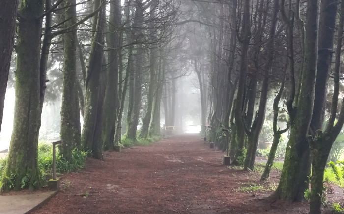 Un refugio para conectarse con la naturaleza